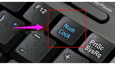 键盘打字母出现数字,小编教你电脑键盘打字母出现数字怎么办
