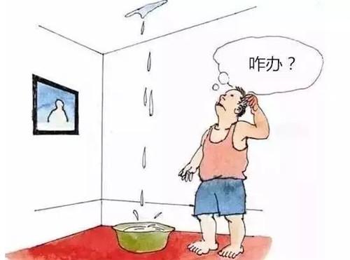 房屋防水补漏的方法？房屋防水补漏的公司有哪些