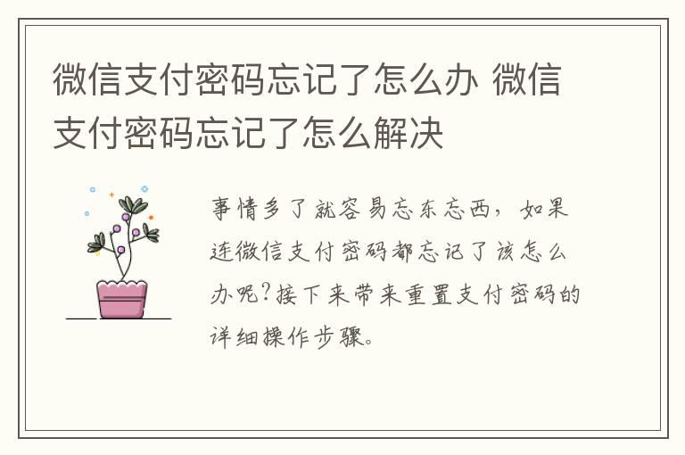 微信支付密码忘记了怎么办？微信支付密码忘记了怎么解决