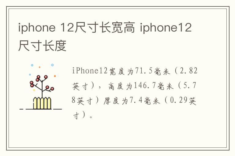 iphone？12尺寸长宽高？iphone12尺寸长度