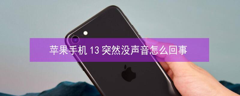 iPhone手机13突然没声音怎么回事