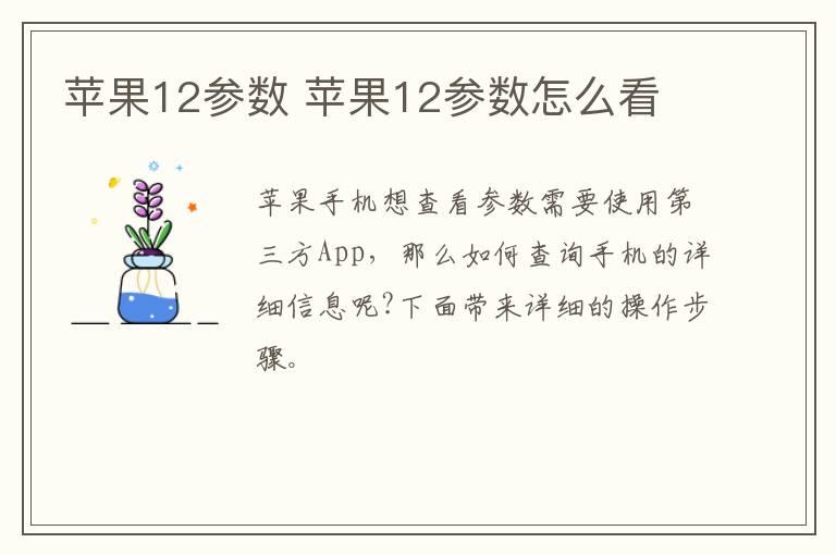 苹果12参数？苹果12参数怎么看