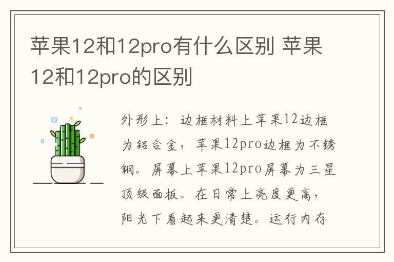 苹果12和12pro有什么区别？苹果12和12pro的区别