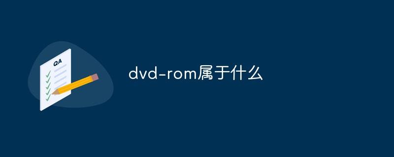 dvd-rom属于什么