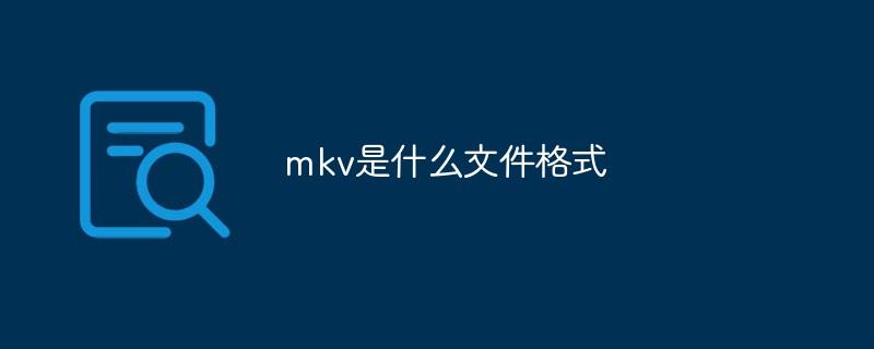 mkv是什么文件格式