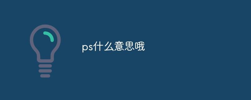 ps什么意思哦