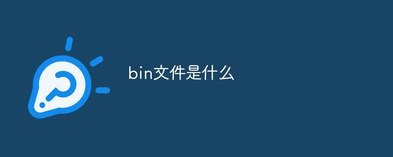 什么是bin文件