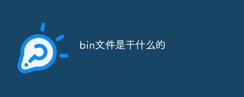 bin文件是干什么的