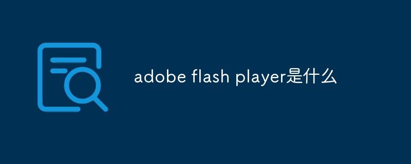 adobe flash player是什么