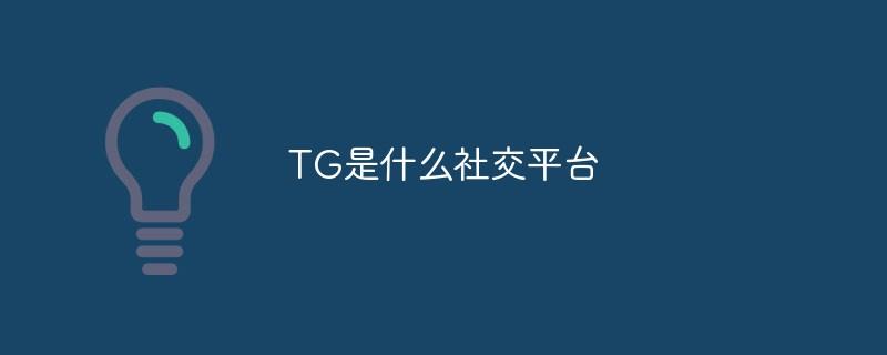 TG是什么社交平台