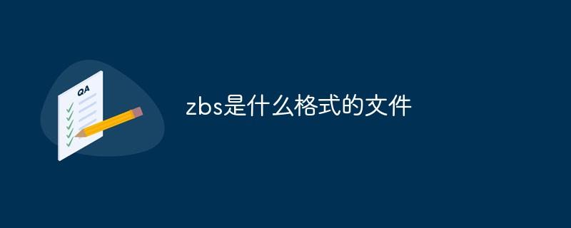 zbs是什么格式的文件