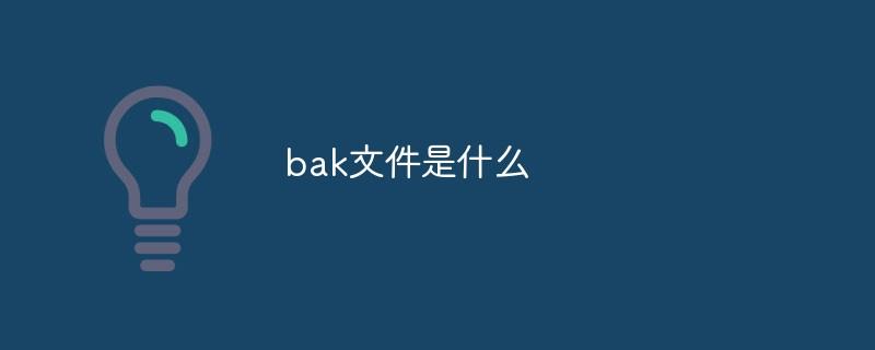 bak文件是什么