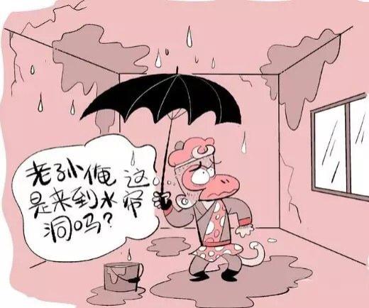 滴答滴、滴答滴，屋顶漏水了！屋顶漏水怎么办？六大妙招给你答案