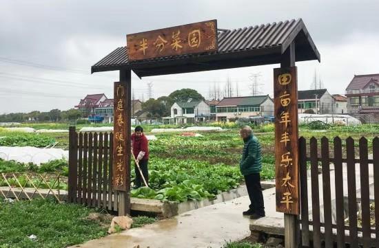 屋顶补漏，要用上万元防水胶？民警“门清”识破欺诈