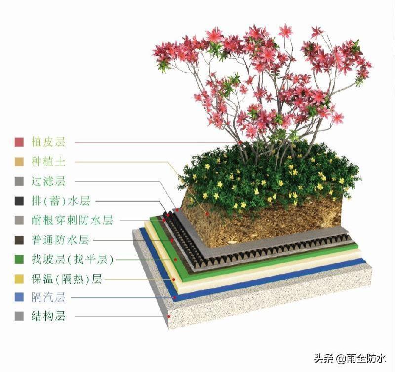 为什么种植屋面要选用专用耐根穿刺防水材料？